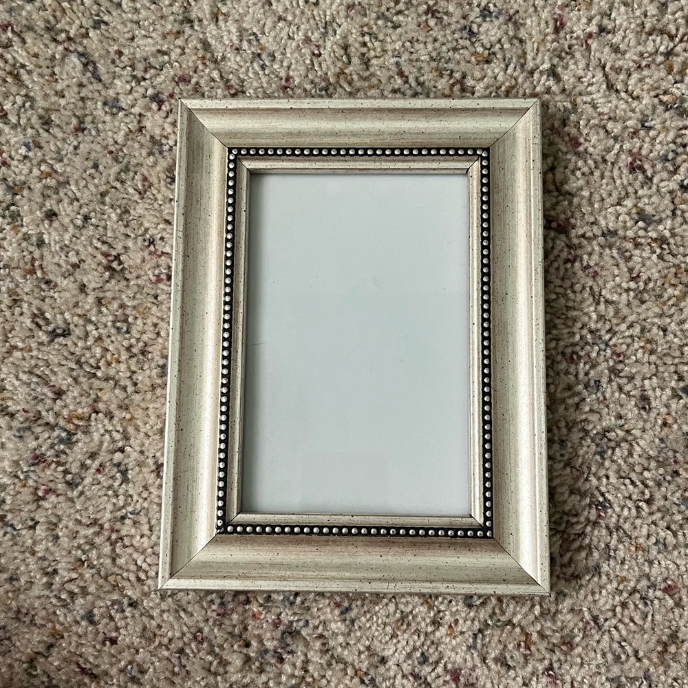 Metallic picture frame! Standard size